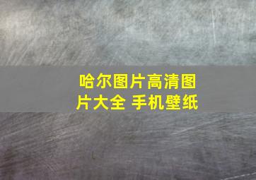 哈尔图片高清图片大全 手机壁纸